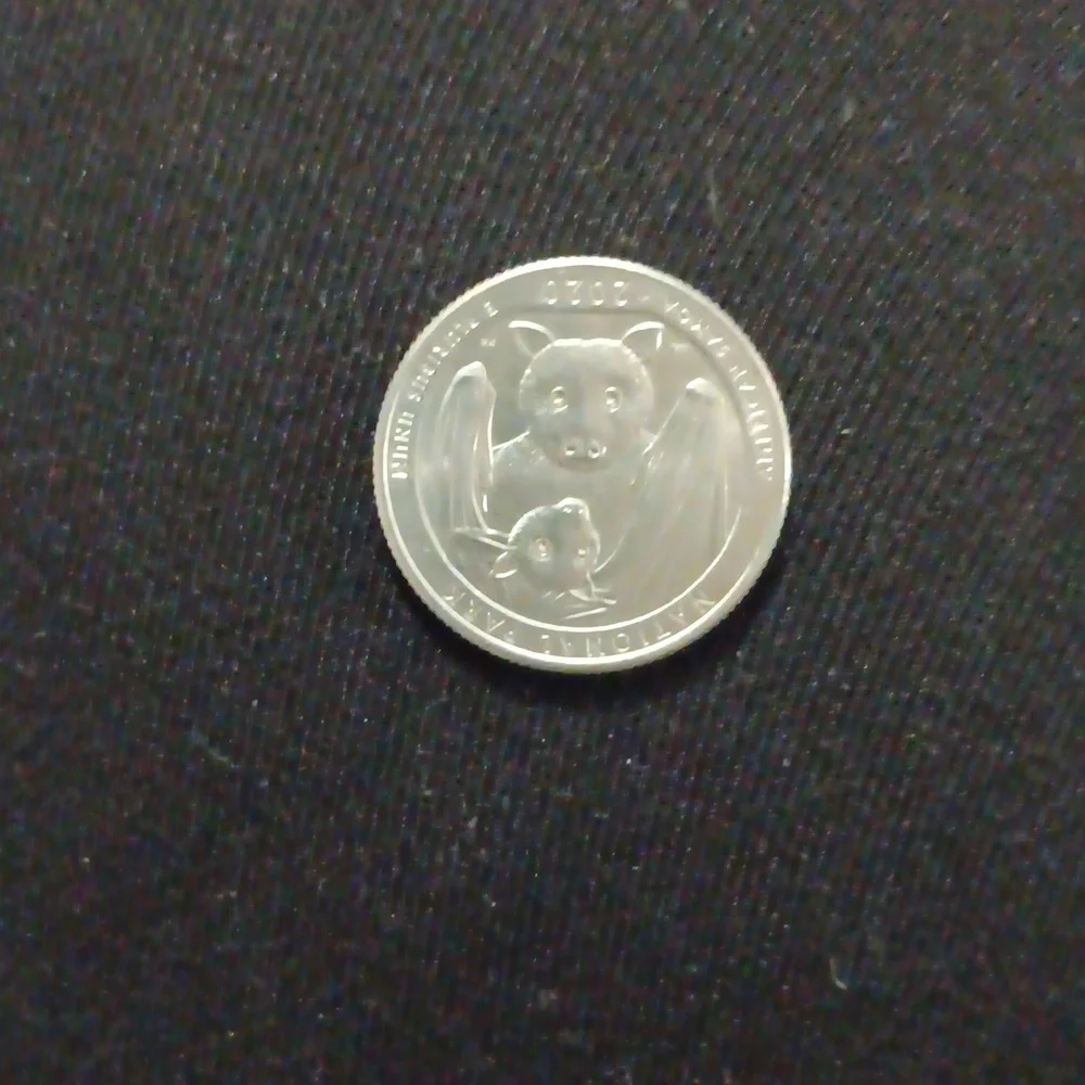 2020 Bat quarter!